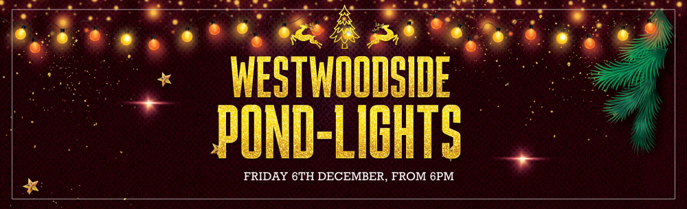 The 2024 Westwoodside Pond Lights Switch On